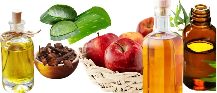 aloe-vera, apple cider vinegar, tea tree oil, clove oil