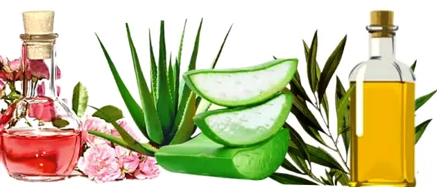 Rose-water, Aloe-vera, Tea tree oil